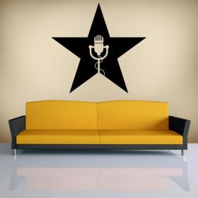 Star musique vinyles décoratifs