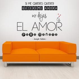 Vinyle d&eacute;coratif si je veux amour