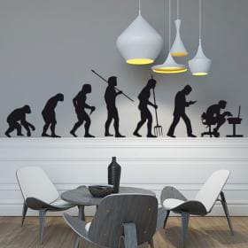 Vinyle d&eacute;coratif Evolution
