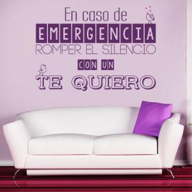 Phrases d&eacute;coratifs vinyl en cas d'urgence