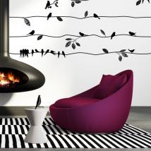 Nature et oiseaux de vinyle