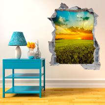 Coucher du soleil de vinyle mur 3D dans le domaine