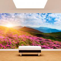 Photo mur murales fleurs dans les montagnes