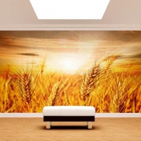 Fotomural pointes dans le domaine