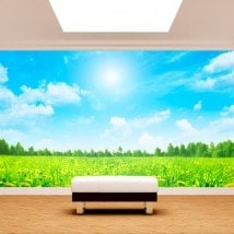 Photo mur murales fleurs nature