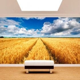 Nature de pointes photo mur murales
