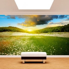 Photo mur murales fleurs dans le champ