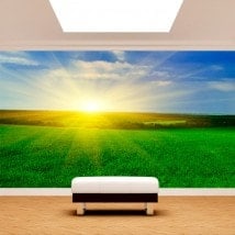 Peintures murales photo soleil sur l’horizon