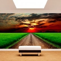 Chemin de peintures murales wall photo dans le domaine