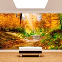 Peintures murales photo sentier dans la nature