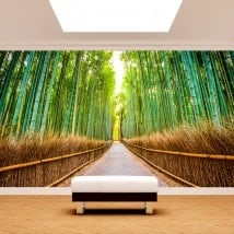 Bambous et chemin de peintures murales wall photo