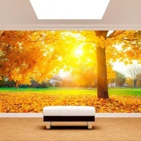 Photo mur murales arbres en automne