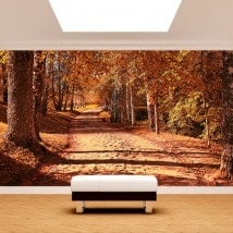 Peintures murales photo trail dans le parc