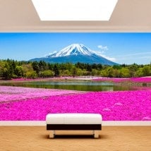 Photo mur murales jardins fleurs Roses Mont Fuji