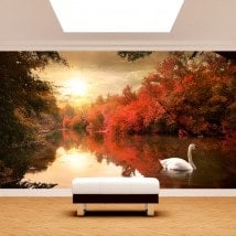 Peintures murales photo le lac des cygnes