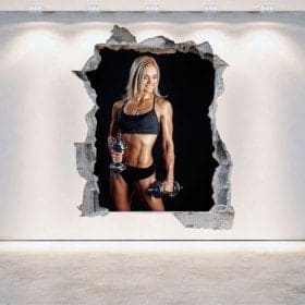 Vinyle de gymnases 3D mur bris&eacute;