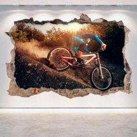 Vinyle de v&eacute;lo de montagne 3D