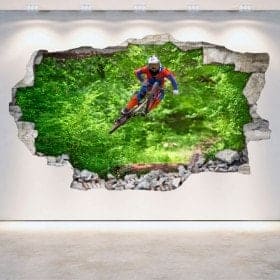 Mur de trou de vinyle 3D Mountain Bike