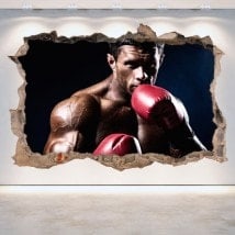 Boxe 3D de vinyle