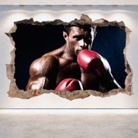 Boxe 3D de vinyle