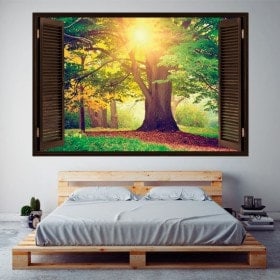 Arbre 3D dans la fenêtre de la forêt