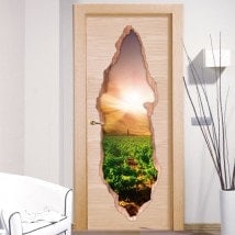 Coucher de soleil dans le vinyle de portes 3D du vignoble