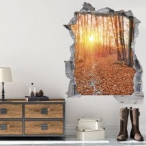 Vinyl 3D coucher de soleil dans la forêt