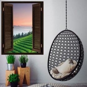 Windows dans le th&eacute; de plantation 3D de vinyle