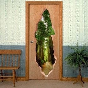 Portes de vinyle Parc National Redwood 3D