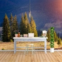 Photo mur murales nature pin