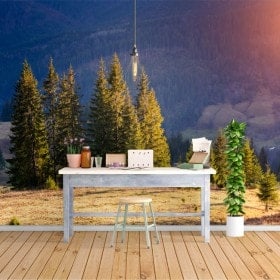 Photo mur murales nature pin