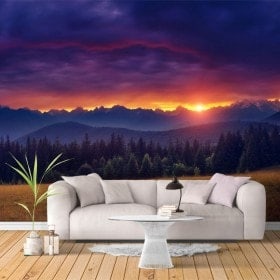 Peintures murales nature photo coucher de soleil