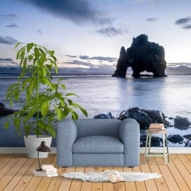 Peintures murales photo rock dinosaur Islande