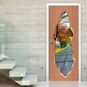 Vinilos Para Puertas Ca&ntilde;&oacute;n De Santa Ana