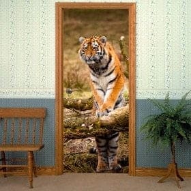 D&eacute;coratif vinyl portes tigre de Sib&eacute;rie