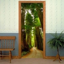 Portes vinyls Autocollants Redwood National Park