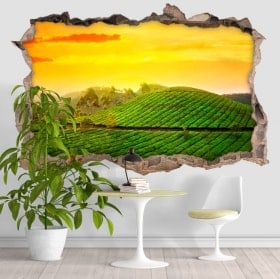 Autocollants 3d coucher du soleil dans le champ indien