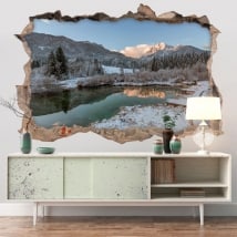 Vinyle réserve naturelle Zelenci 3D