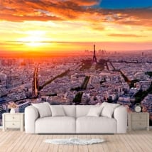 Papiers peints de vinyle ville de Paris