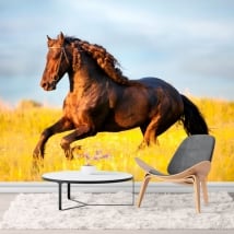 Murales cheval dans le domaine