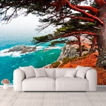 Papiers peints arbre de cèdre Rocky Island