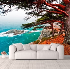 Papiers peints arbre de cèdre Rocky Island