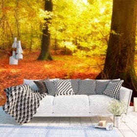 Papiers peints arbres dans la for&ecirc;t d'automne