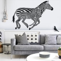 Vinyle décoratif paroi zèbres
