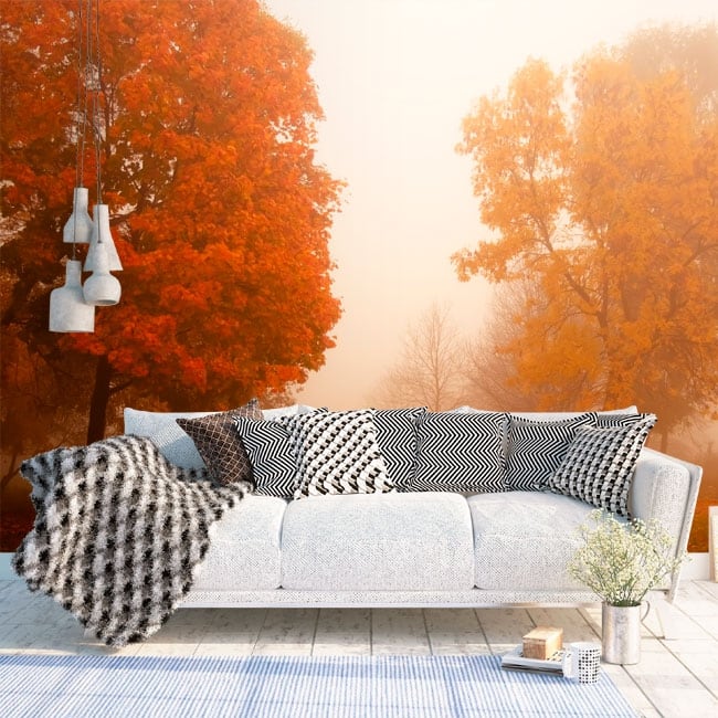 Scarica Gratis Images Papiers Peints Nature Mystique le plus cool salutations