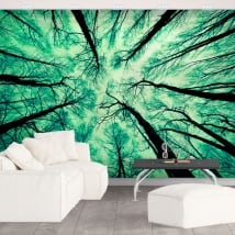 Papiers peints arbres forestiers
