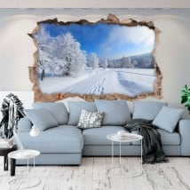Vinyle mur de trou nature en hiver 3d