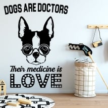 Vinyle et autocollants des phrases le bon docteur