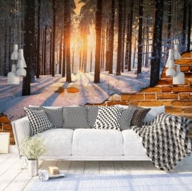 Peintures murales coucher de soleil en norvège mur cassé