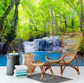 Peintures murales vinyle cascade haew suwat thailande